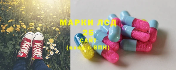 сатива Алзамай