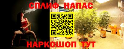 герыч Гагарин