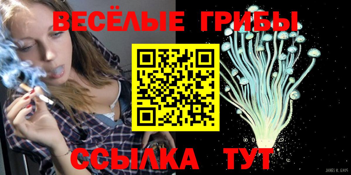 Псилоцибиновые грибы Cubensis Клин