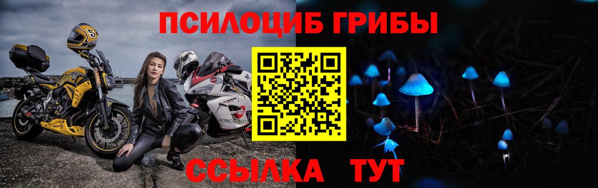 Галлюциногенные грибы MAGIC MUSHROOMS  Вход с VPN  Галлюциногенные грибы Magic Shrooms  Клин 